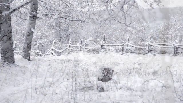 Научи меня ,Боже , любить смотреть онлайн