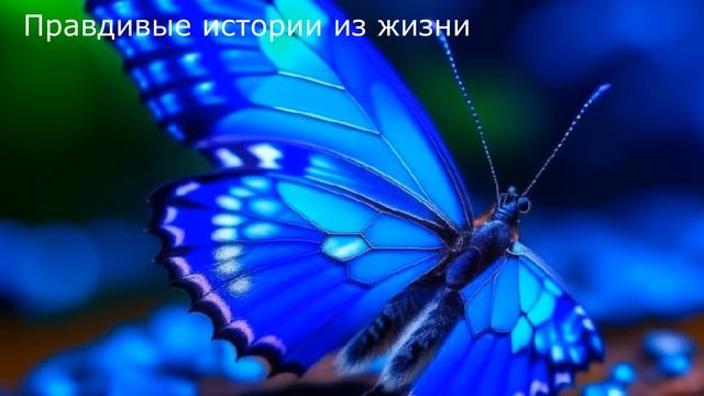 ⚡️ Она изводила своих соседей и все как один съезжали с этой квартиры, но нашелся человек, что .. смотреть онлайн