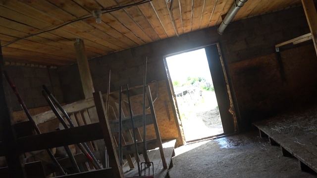 Перекладины над коровами . Для чего они нужны . Завлекаю соседских кур . смотреть онлайн