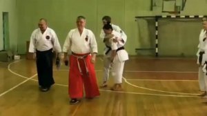 Мое карате в катором я занемаюсь. Гимн карате дракон