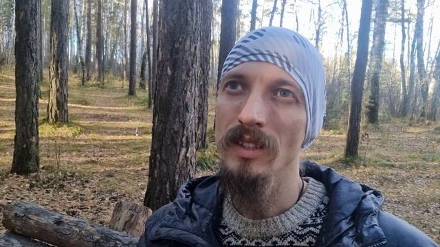 Торговцы. Варна веси. Основа общества потребления. Цели, интересы, внутренние желания. Рост души.