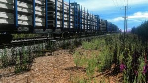 Реалистичный Trainz New Era 🚂 2ТЭ25КМ-0001 с грузовым поездом