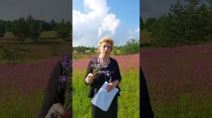 Сделка по доверенности. Что важно знать? Ответ здесь!
