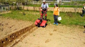 Культиватор Фермер 811