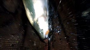 Светонакопительные приманки. Поимки форели на спорт зоне. Клёвое место, Лосиный остров