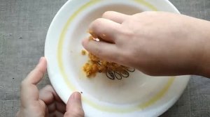 Простая и эффективная приманка из хлеба. Самодельный пластилин для рыбалки. Пластилин из хлеба