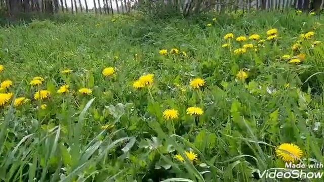 Символизм. Оккультизм.