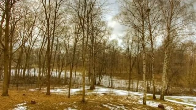 Стих "Люди дорожите каждым днём, дорожите каждою минутой" автор Ольга Мишарина смотреть онлайн