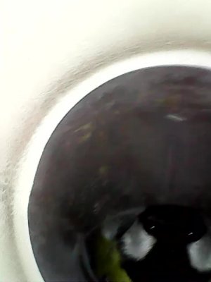 Причина ошибки F05 в котле Viessmann Vitopend 100-W A1HB