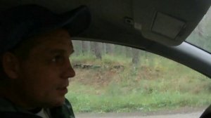 Приехали за ГРИБАМИ - попали под проливной дождь!!!