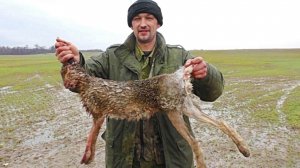 Охота на ЗАЙЦА. 5 января 2018г.