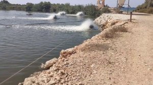 Пляж Израиля. Природа Израиля. Дикий пляж на Средиземном море.