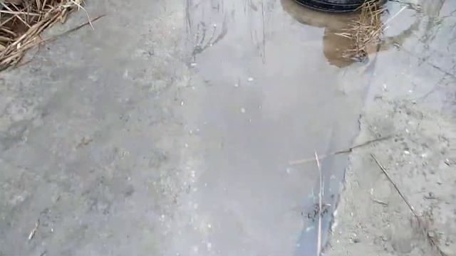 Мой друг спалил девочек в трусах смотреть онлайн