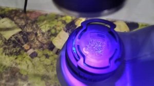 Какое масло покупаю на тигуан