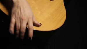 Spencer Elliott   Insignificant Guitar