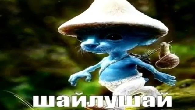 Шайлушай | We Live We Love We Lie | 10 часов | ОРИГИНАЛ смотреть онлайн