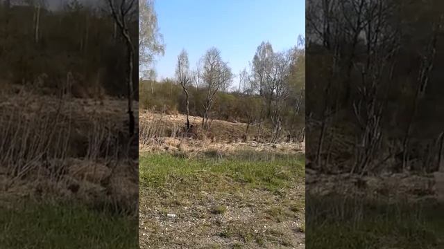 Дикие животные. Природа и человек. Лиса. смотреть онлайн