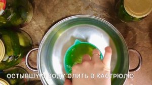Огурцы на зиму в Банках Только так, Другие способы не признаю! Хрустят БЕЗ хрена, без стерилизации!