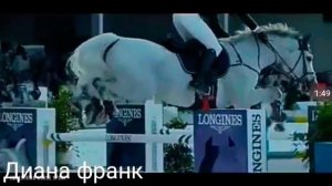 Клип про лошадей 🐎Сумасшедший русский 🐎