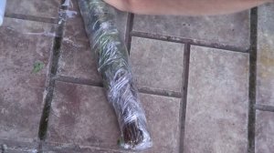 Лайфхак. Как сохранить веники для бани свежими.