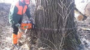 STIHL MS 880 SUPER DRUJBA