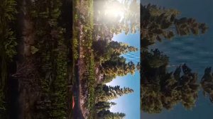 играем в 7 DAYS TO DIE выживание