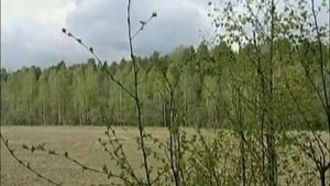 ВИА Песняры Дрозды