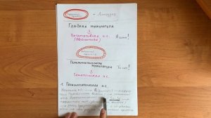 АНАТОМИЯ МОЧЕВОГО ПУЗЫРЯ// ИННЕРВАЦИЯ МОЧЕВОГО ПУЗЫРЯ