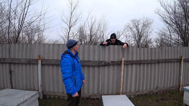 Лучшая порода пчел 2021 по мнению пчеловодов