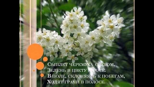 Есенин Большое видится на растояньи 11 03 2020 смотреть онлайн