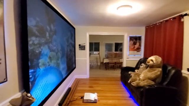 Going completely black. Supreme black ALR 12 OLED  like  135" 16:9 projection screen! смотреть онлайн