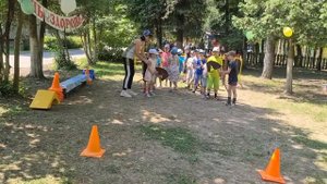 ✔️День здоровья ? "Летние виды спорта" ??? Физкультурный досуг в детском саду