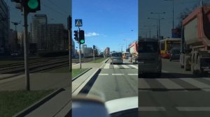 Пальма в центре Варшавы и видео экскурсия по центру Варшавы