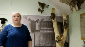 Перелётные птицы Подмосковья