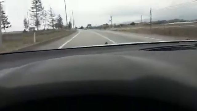 Ford Mondeo 1.6 TDCİ İle Uzun Yolda Ufaktan Hız смотреть онлайн