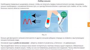 Техника безопасности при коньковой подготовке