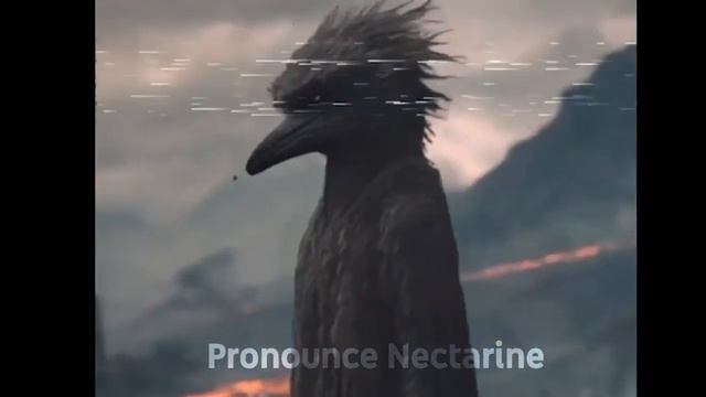 ЧТОО!? НОВЫЙ МЕМ ИЗ 2040 ГОДА! НОВАЯ ВОЛКАНИЧЕСКАЯ ПТИЦА.Птица из 2040 года: The future of birds. смотреть онлайн