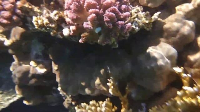 Пляж Фарша в Шарм Эль Шейхе