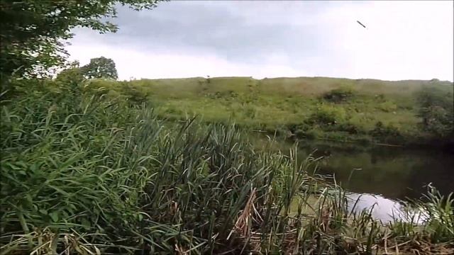 Рыбалка на реке ЗУША . смотреть онлайн