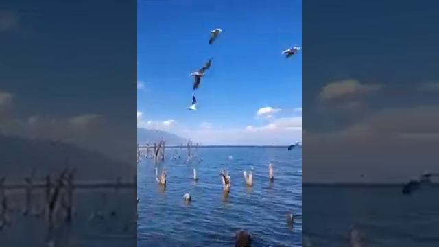 MA Sha Allah смотреть онлайн