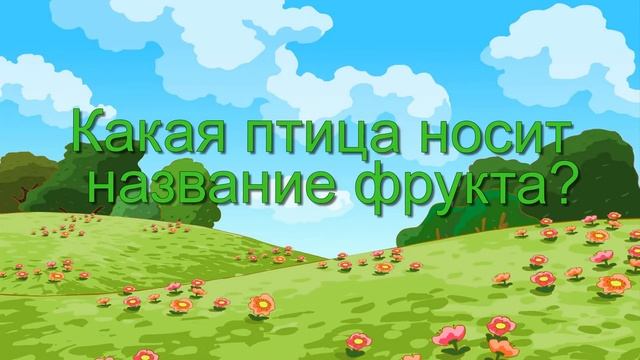 Загадки для детей про птиц смотреть онлайн