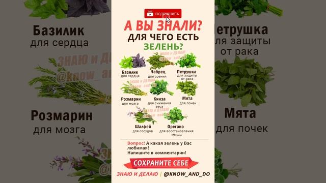 ? Для чего есть зелень каждый день ? ПП рецепты от фитнес диетолога Андрея Лопеса 21.07.2023