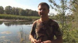 Подсачек Волжанка Теле 3.0 м голова 55 см