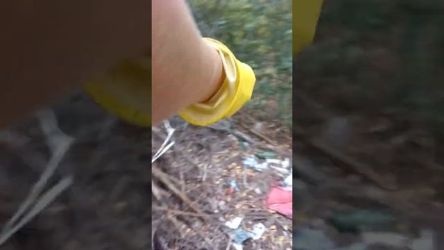 Ловля мышей смотреть онлайн