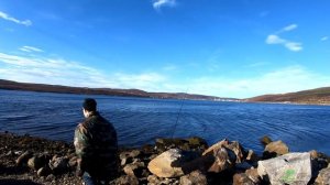 Камбала - Ёрш. Кольский залив.