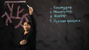 Жасушаның органикалық заттары: полимерлер мен мономерлер. 8 сынып.