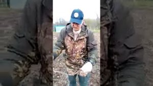 Как правильно подвязывать дерево к колышку
