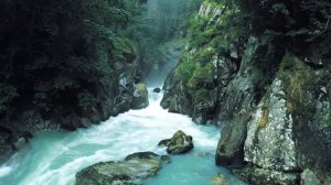 Река I Шум реки I Звуки природы I Звук реки в лесу I Звуки текущей воды I Звукотерапия