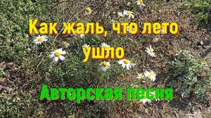 Как жаль, что лето ушло/Авторская песня/Песня под гитару/Песня про осень/Исполняет автор С. Авдеева