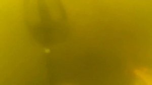 Поиск с металлоискателем Гарретт Ат Про под водой